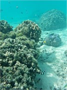 Rarotonga_36