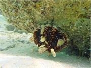 BoraBora_40