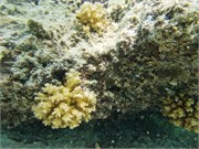 BoraBora_41