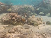 BoraBora_42