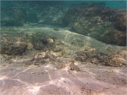 BoraBora_43