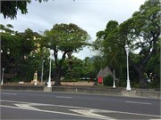 Tahiti10