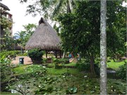 Tahiti22
