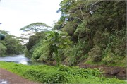 Tahiti35
