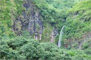Tahiti36