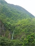 Tahiti43