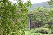 Tahiti46