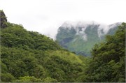 Tahiti50