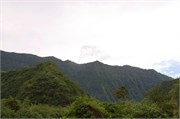 Tahiti51