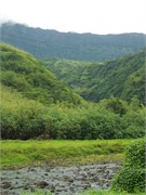 Tahiti52