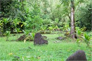 Tahiti54