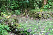 Tahiti55