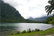 Moorea-15