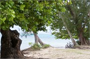 Moorea-25