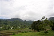 Moorea-45