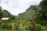 Moorea-46