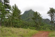 Moorea-48