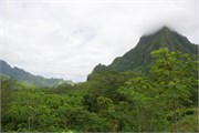 Moorea-49