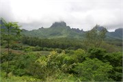 Moorea-50