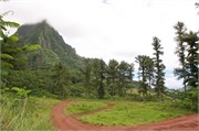 Moorea-52