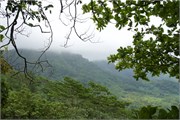 Moorea-56