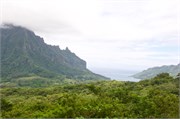 Moorea-58