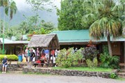Moorea-65