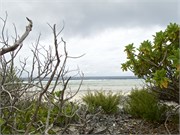 Rangiroa47