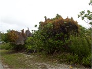 Rangiroa48