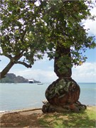 NukuHiva25