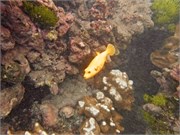 NukuHiva47