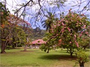NukuHiva86