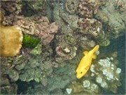 NukuHiva48