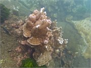 NukuHiva51