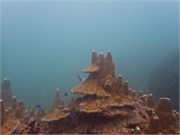 NukuHiva55