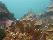 NukuHiva57