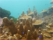 NukuHiva58