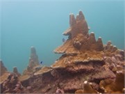 NukuHiva59