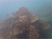 NukuHiva65