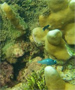 NukuHiva67
