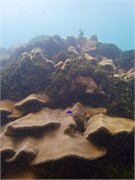 NukuHiva73