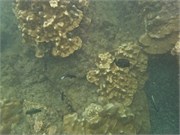 NukuHiva76