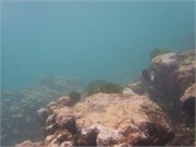 NukuHiva80